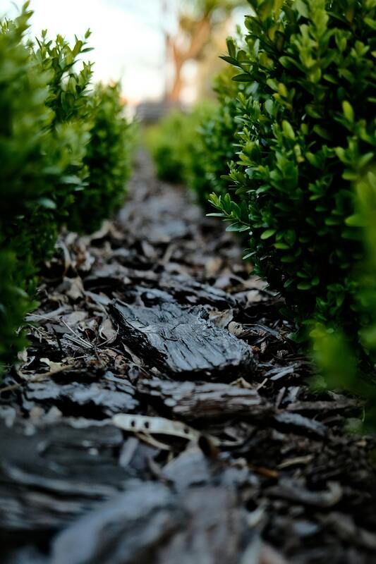 Mulch Landscaping Service in Fort Mill