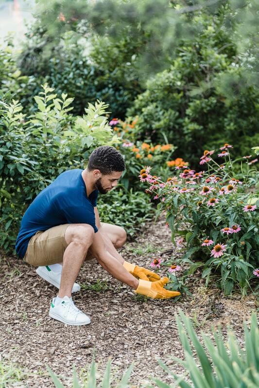 A man planting flowers in a garden in Fort Mill 