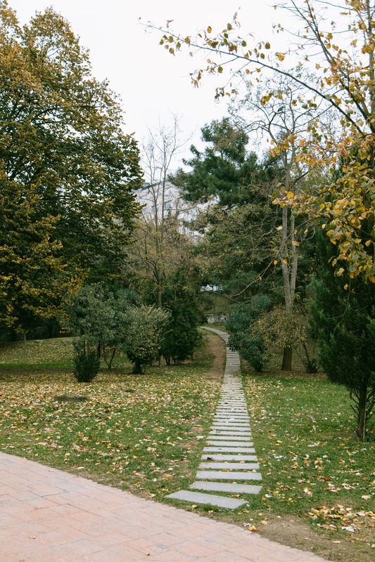 A stone pathway through a variety of trees in fort mill